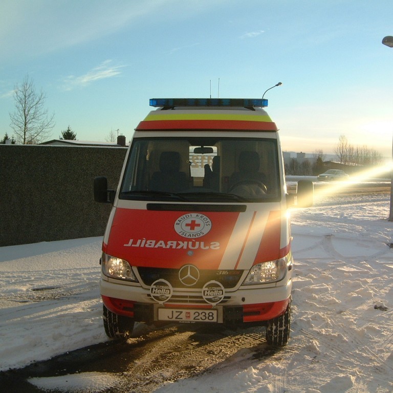 Sjá má á húddi merki Profile tvær renndur