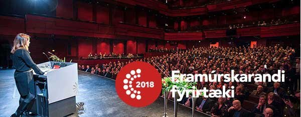 Framúrskarandi fyrirtæki