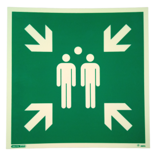 S&ouml;fnunarsv&aelig;&eth;i 30x30sm