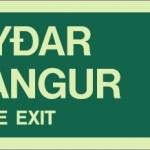 Neyðarútgangur/Miði 6x17sm