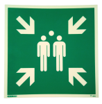 S&ouml;fnunarsv&aelig;&eth;i 30x30sm